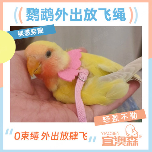 鹦鹉飞行绳超轻牵引绳放飞绳牵引绳外出绳飞行背带遛鸟绳溜鸟神器