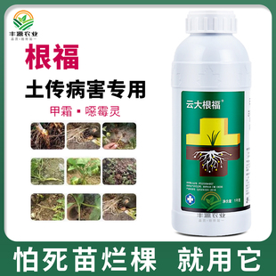 云大根福甲霜噁霉灵根腐病专用枯萎立枯病甲霜灵灵恶霉灵死苗烂根