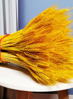 天然黄金麦穗干花花束开业大麦客厅田园装饰摆件干花插花拍摄道具