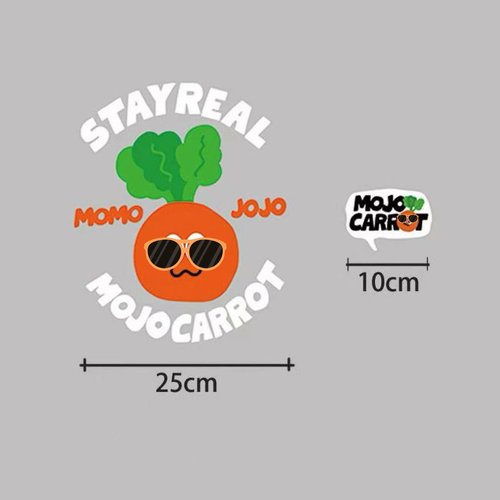 (满20包邮)五月天5525草莓帆布包diy手作烫画定制热转贴周边