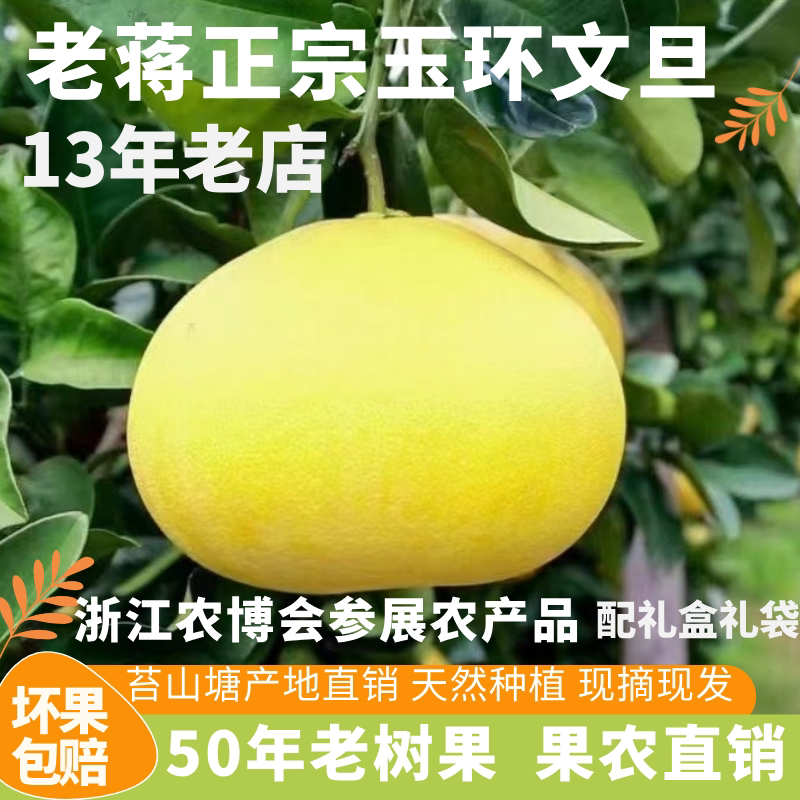 正宗浙江玉环文旦柚子50年老树果子苔山塘楚门文旦水果蜜柚无激素