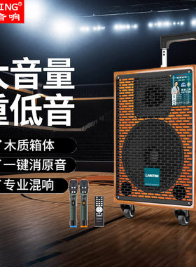 浪庭高端户外唱歌音响带无线话筒