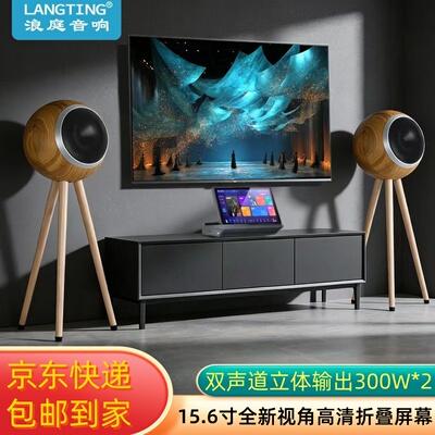 4合一智能化家庭k歌音响套装