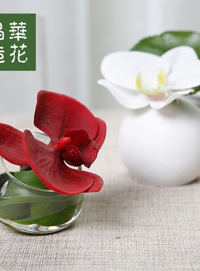 蝴蝶兰晶华仿真花小摆件