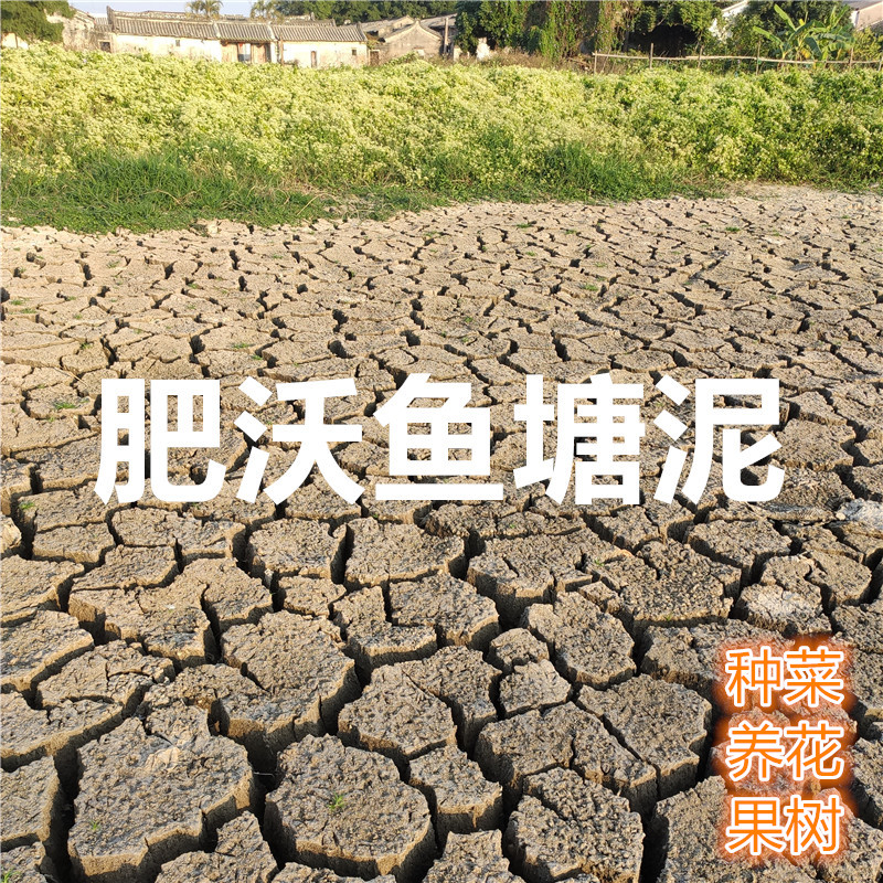 营养土 肥沃鱼塘泥 天然泥土 池塘土 花土 种菜土 大批量1吨 包邮 鲜花速递/花卉仿真/绿植园艺 介质/营养土 原图主图