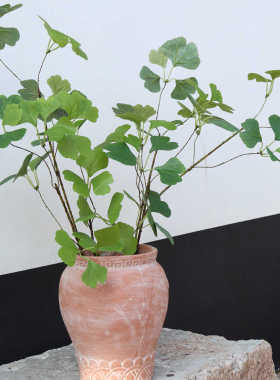 软装花艺绿植秋天银杏叶居家摆件