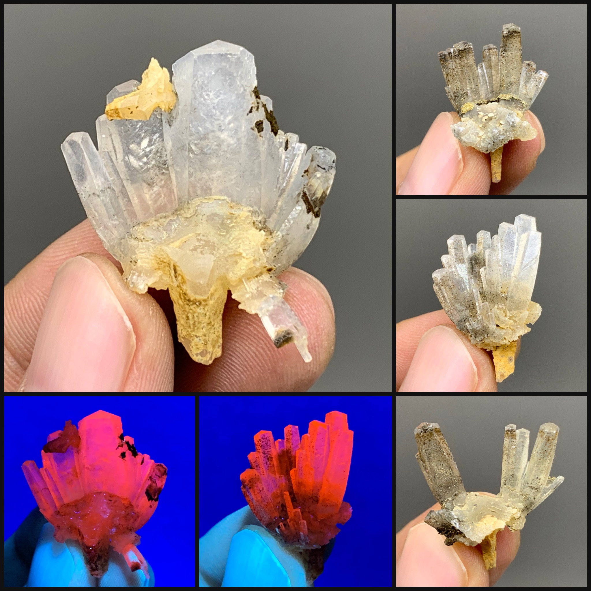 荧光莲花方解石硫铁矿 福建天然矿物晶体矿石标本收藏观赏原石教