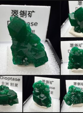 翠铜矿刚果天然优质矿物晶体