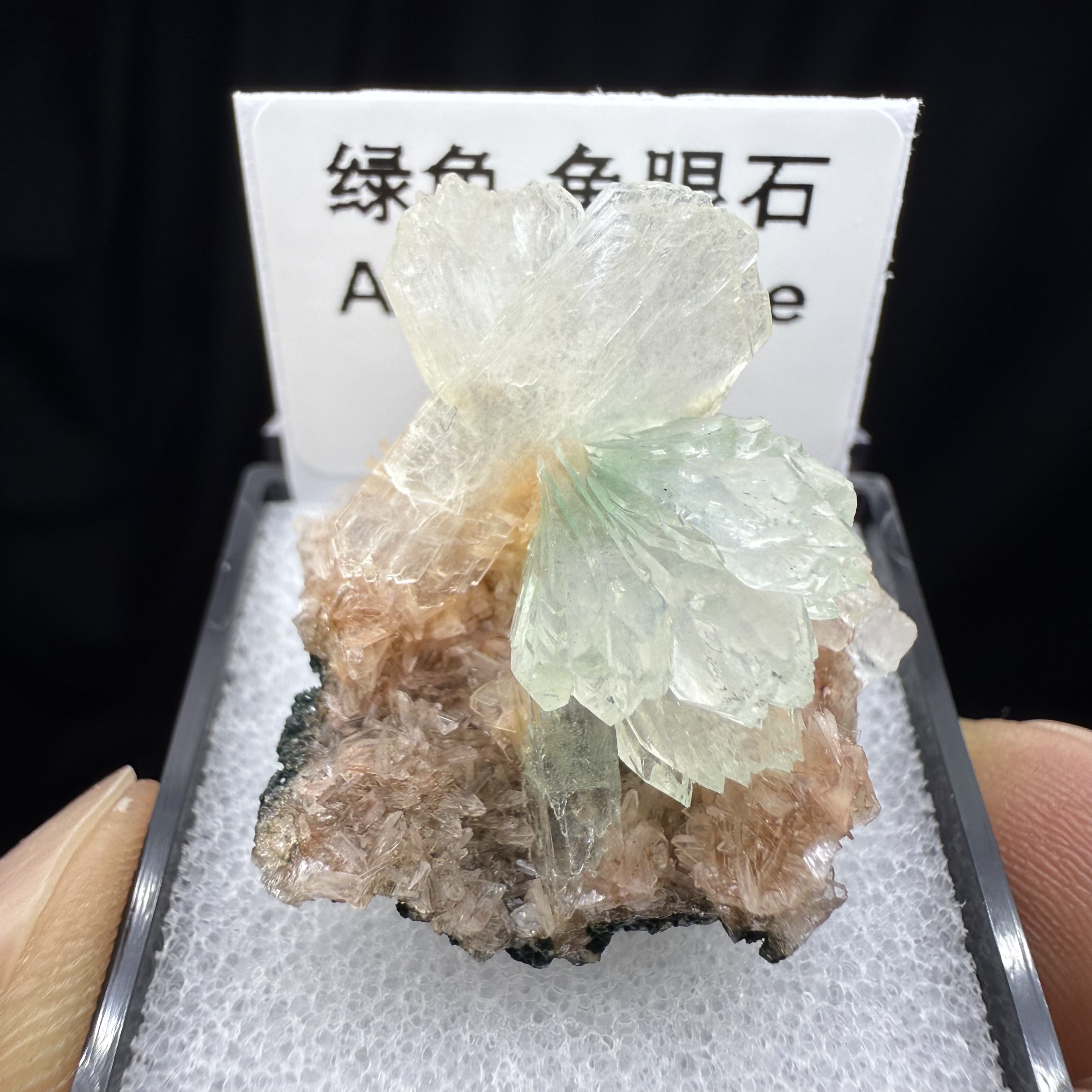 绿色鱼眼石天然矿物晶体矿石标本收藏观赏原石摆件优质盒子矿亚1