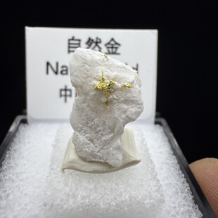 自然金金矿石天然矿物晶体矿石标本收藏观赏原石摆件盒子矿地质2