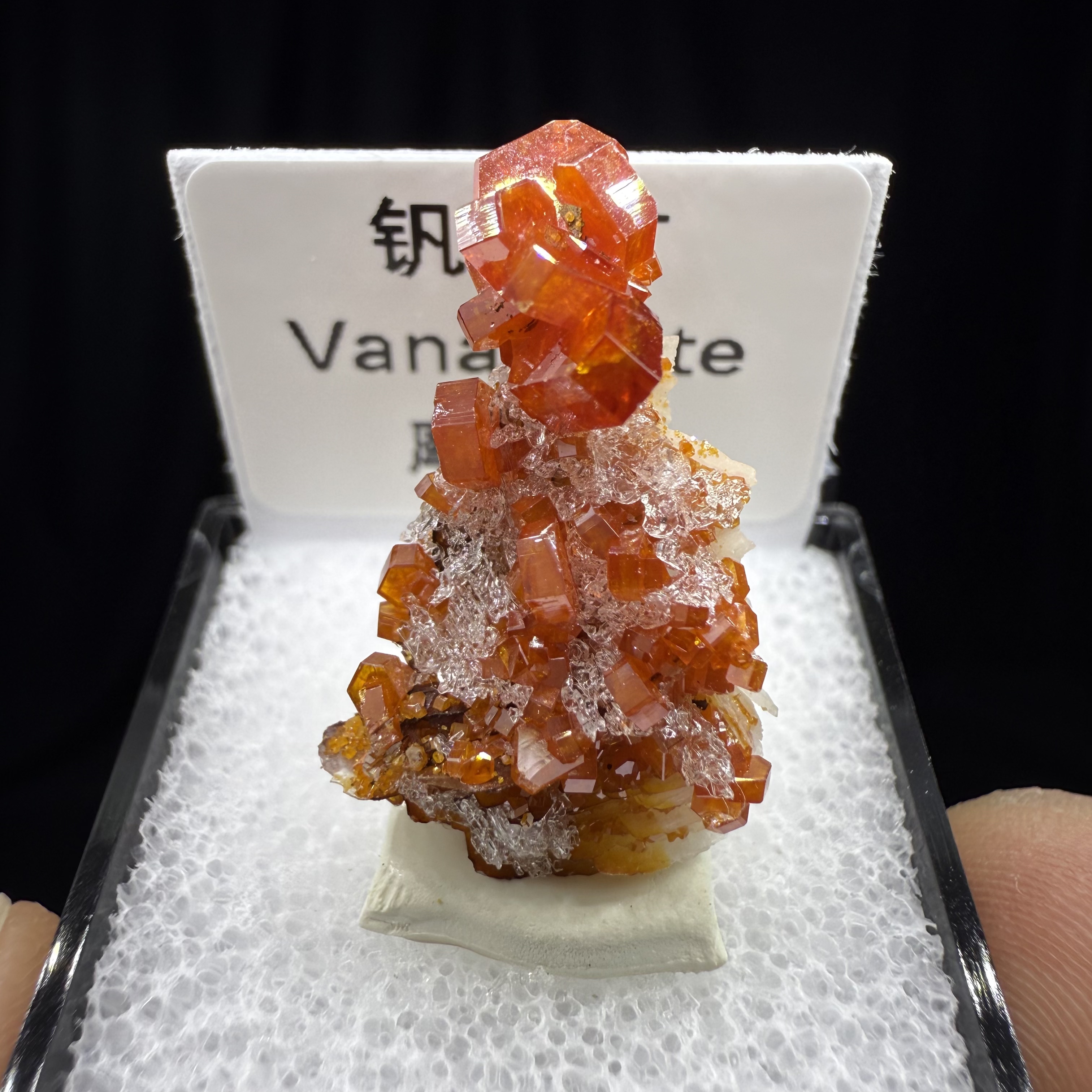 钒铅矿天然矿物晶体矿石标本收藏观赏原石摆件地质宝石奇石盒子矿