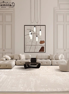 优选Rsemnijfa现代轻奢地毯客厅茶几毯高级感咖色立体毯面混纺卧