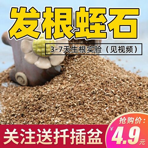 优质蛭石珍珠岩月季多肉扦插颗粒
