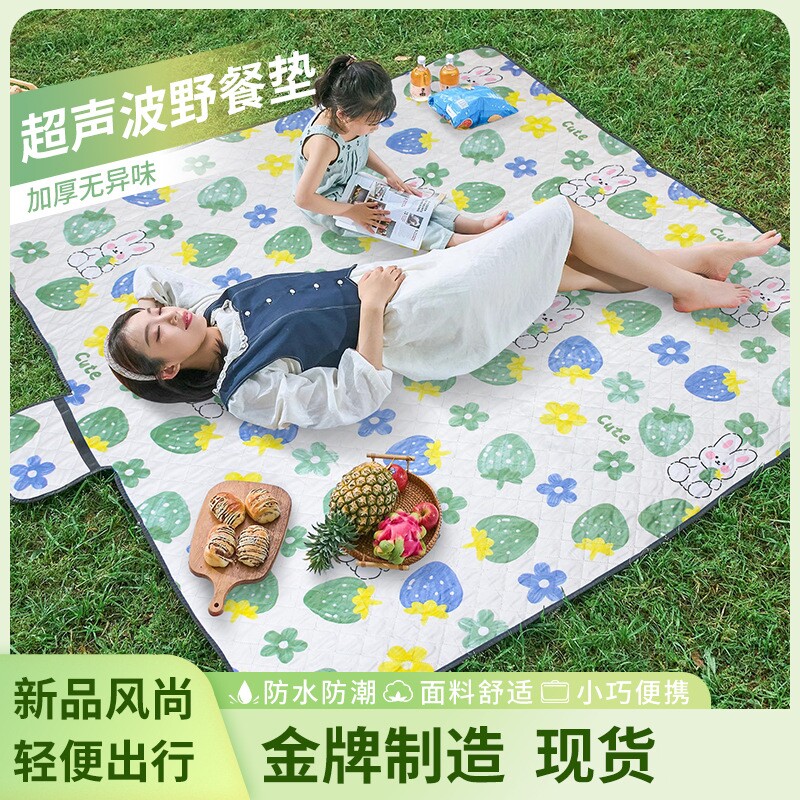 野餐垫防潮垫加厚露营沙滩野炊春游防水草坪垫子地垫户外帐篷地垫