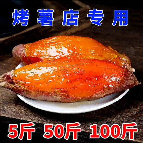 商用烤地瓜红薯山东烟薯25号蜜薯