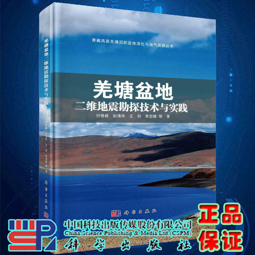 羌塘盆地二维地震勘探技术与实践青藏高原羌塘沉积盆地演化与油气资源丛书付修根等著科学出版社9787030631251