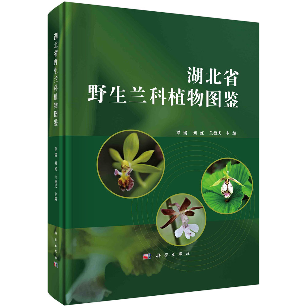 现货正版 锁线胶订 湖北省野生兰科植物图鉴 覃瑞刘虹兰德庆 科学出版社 9787030766038