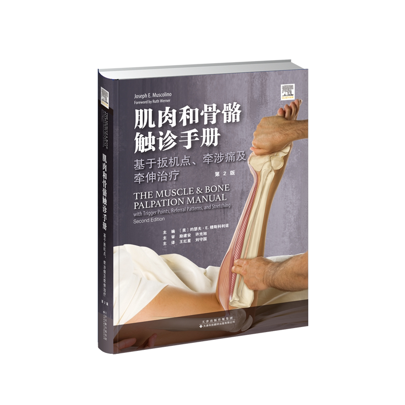 现货正版 肌肉和骨骼触诊手册基于扳机点牵涉痛及牵伸治疗第2版天津科技翻译出版社9787543339873