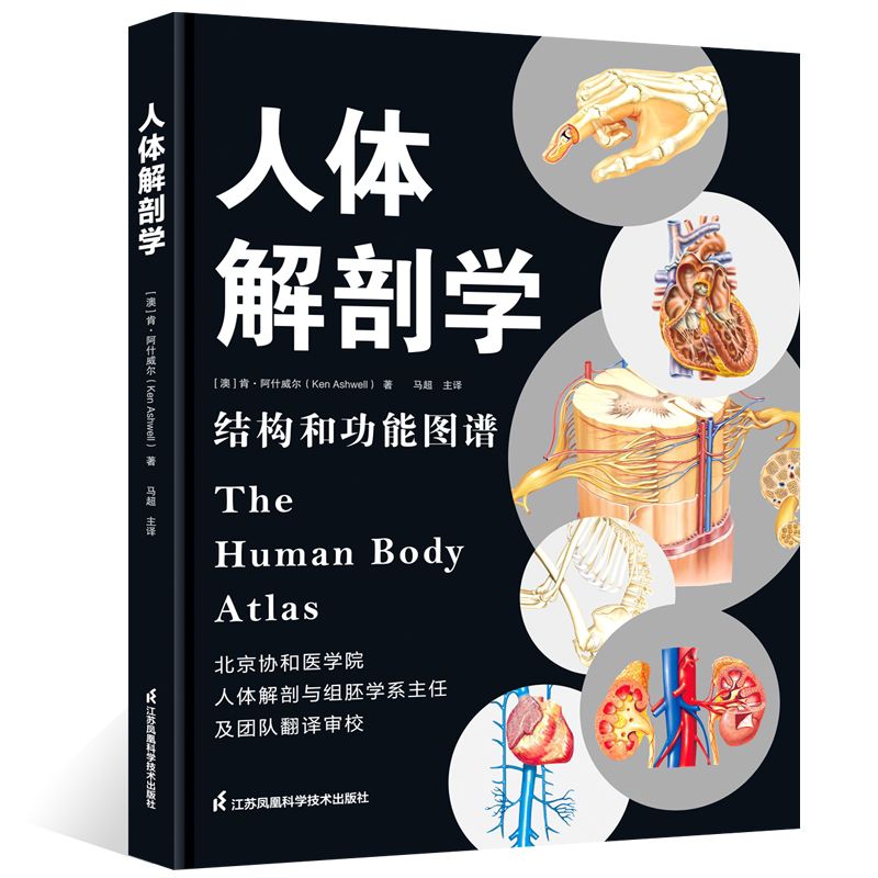 现货正版 人体解剖学 结构和功能图谱 马超 北京协和医学院主任翻译彩色图谱彩色学解刨学奈特书籍正常医学实用彩色学全彩彩图系统 书籍/杂志/报纸 内科学 原图主图