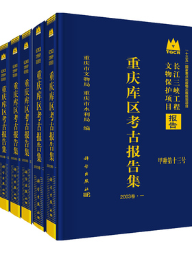 正版现货重庆库区考古报告集·2003卷（全5册）长江三峡工程文物保护项目报告 甲种第十三号 科学出版社