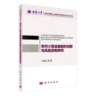 正版现货 农村小型金融组织创新与风险控制研究 丁忠民 等 科学出版社 9787030573339平装胶订