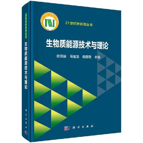 正版现货 21世纪新能源丛书 生物质能源技术与理论 陈冠益 马隆龙 颜蓓蓓 科学出版社