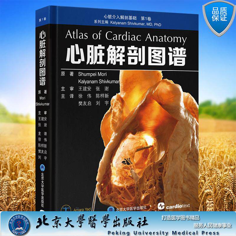 心脏介入解剖基础 第1卷 心脏解剖图谱 徐伟 陈样新 樊友启 刘宇 主译 精装 北京大学医学出版社9787565934766