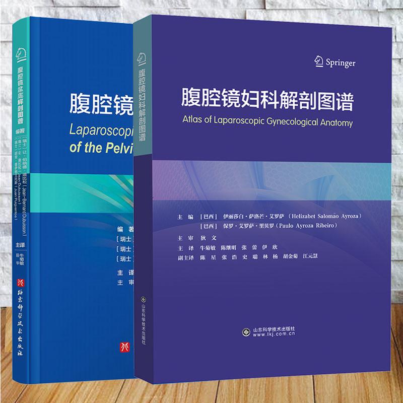 两本套 腹腔镜妇科解剖图谱/腹腔镜盆底解剖图谱  牛菊敏 段华 陈継明 张蕾 伊欣 译者 妇产科学书籍 腹腔子宫内膜异位症手术