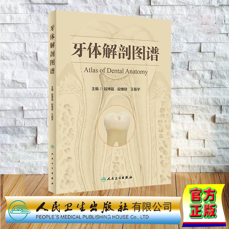 正版 精装 牙体解剖图谱 段坤昌 段维轶 王振宇 人民卫生出版社 9787117341998