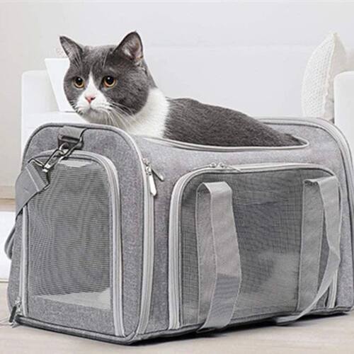 Dog Carrier Bag Soft Side Backpack Cat Pet Carriers Dog Trav