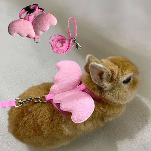 Cute Angel Wing Pet Rabbit Harness and Leash for Cats Rabbit