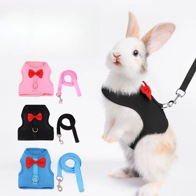 No Pull Comfort Padded Vest Leash for Bunny, Rabbit Harness,