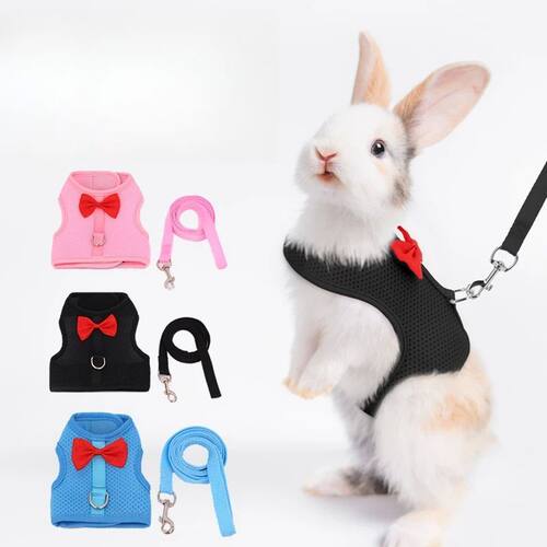 No Pull Comfort Padded Vest Leash for Bunny, Rabbit Harness,