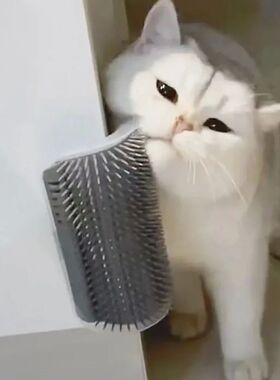 Pet Brush Comb Play Cat Toy Softer Cat Self Groomer Massage