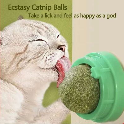 Natural Catnip Scratching Post for Cat Scrapers Cat Wall Sti