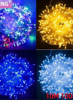 10M 100Leds Xmas Outdoor christmas lights led string lights