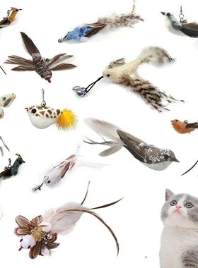 Funny Bird Feather Cat Wand With Bell Accessories Interactiv