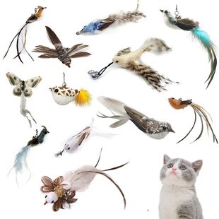 Funny Bird Feather Cat Wand With Bell Accessories Interactiv