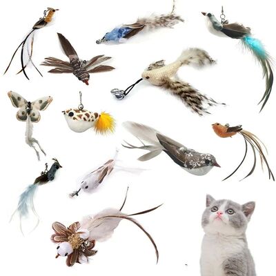 Funny Bird Feather Cat Wand With Bell Accessories Interactiv