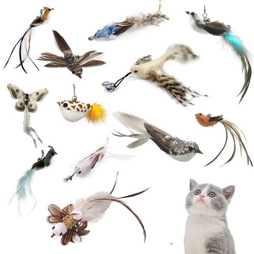 Funny Bird Feather Cat Wand With Bell Accessories Interactiv