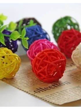 10pcs Primary Color Sepak Takraw Parrot Chewing Toy Ball Pet