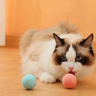 Gravity Intelligent Rolling Ball Cat Toys USB Charging Pet A