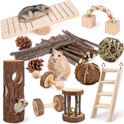 Combination Hamster Rabbit Mouse toy Hamster toy set Pet rab