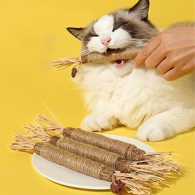 1 Pc Cat Toys Silvervine Chew Stick Polygonum Kitty Raffia G