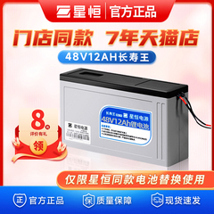 星恒锂电池48v12Ah绿源爱玛雅迪捷安特原装电动车电池48V