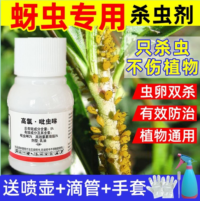 吡虫啉杀虫剂花药蚜虫专用药花卉植物呲虫啉农药果树月季花杀虫药