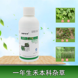 京博芦茅净精喹禾灵8.8%一年生禾本科杂草芦苇茅草除草剂