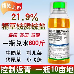 21.9%精草铵膦铵盐荒地精草胺膦胺盐小飞蓬牛筋草顽固杂草除草剂