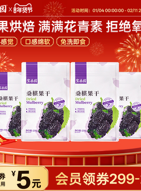 宝桑园无添加糖桑葚干黑桑椹桑甚干优质免洗即食泡酒泡茶零食果干