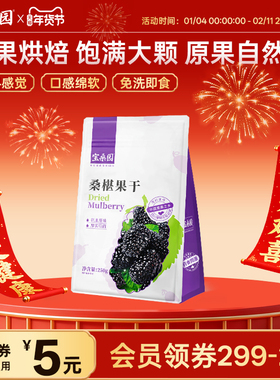 【宝桑园】桑葚果干免洗广东农科院研制1袋250g原味